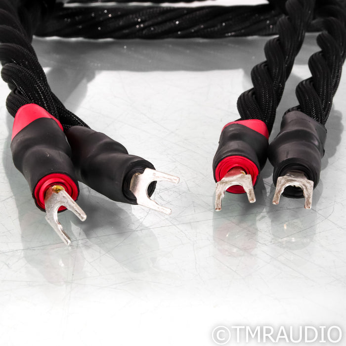 Synergistic Research Galileo SX Speaker Cables; 10ft Pair