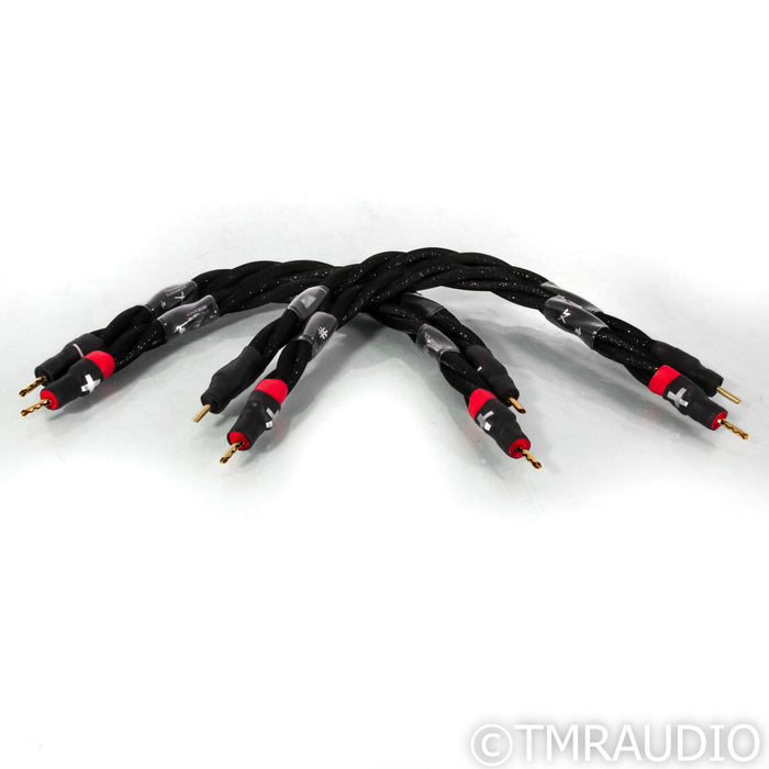 Synergistic Research Galileo SX Speaker Jumpers; 18" Set of 4