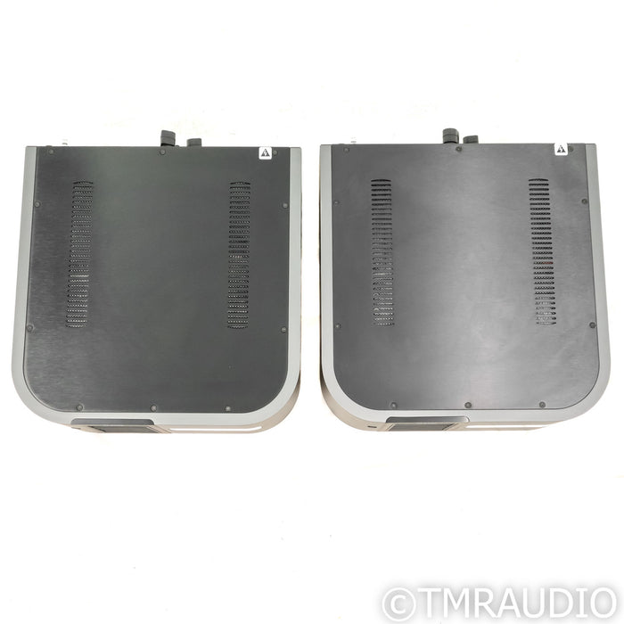 Classe Audio Delta Mono Power Amplifiers; Pair