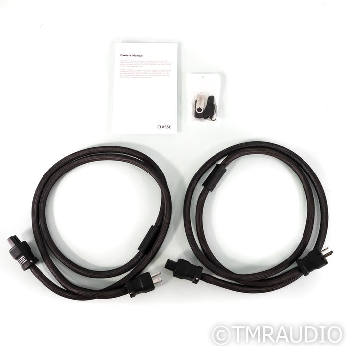 Classe Audio Delta Mono Power Amplifiers; Pair