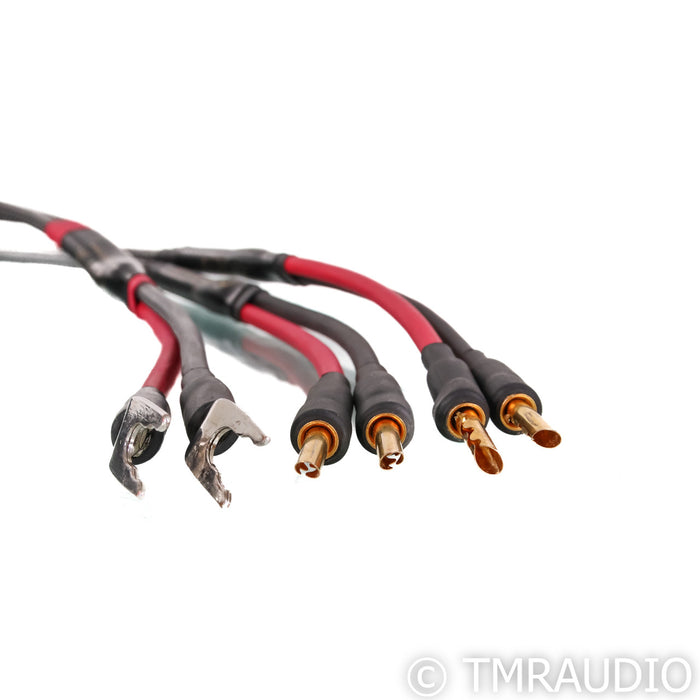 Audience Au24 SX Bi-Wire Speaker Cables; 2m Pair