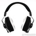 Final Audio D7000 Open-Back Planar Magnetic Headphones