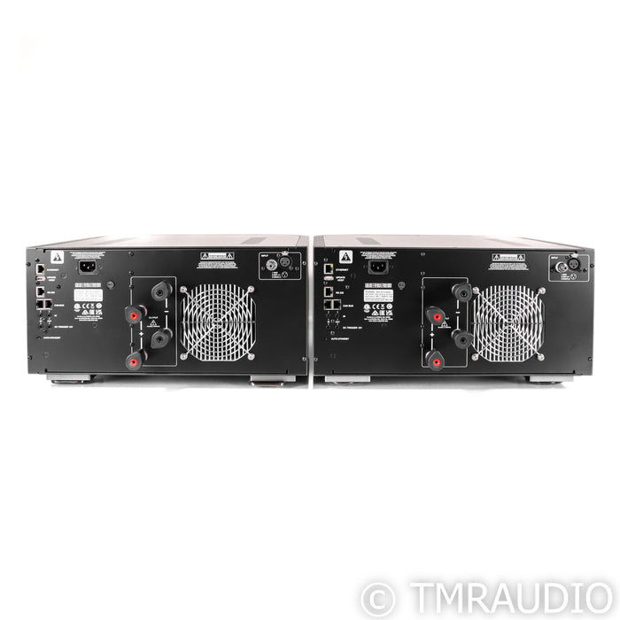 Classe Audio Delta Mono Power Amplifiers; Pair