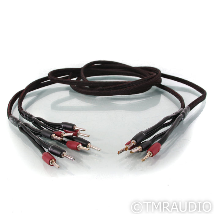 AudioQuest Rocket 33 Bi-Wire Speaker Cable; 3m Pair