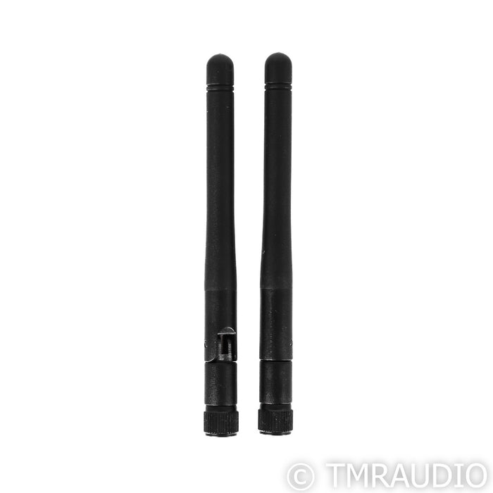 Auralic Aries G2.1 Wireless Network Streamer
