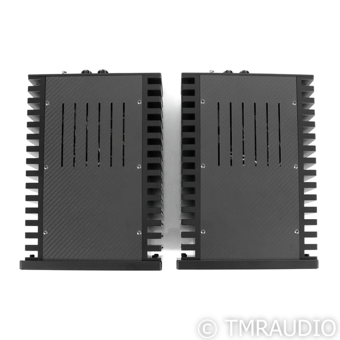 Valvet E4 Monoblock Power Amplifiers; Pair