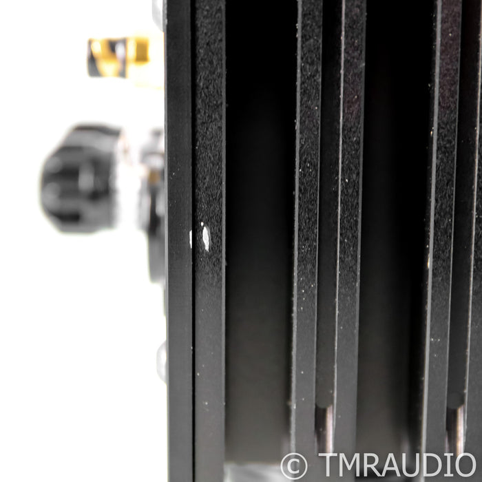 Valvet E4 Monoblock Power Amplifiers; Pair