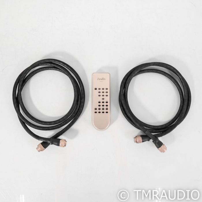 Zanden Model 2000 Premium CD Transport