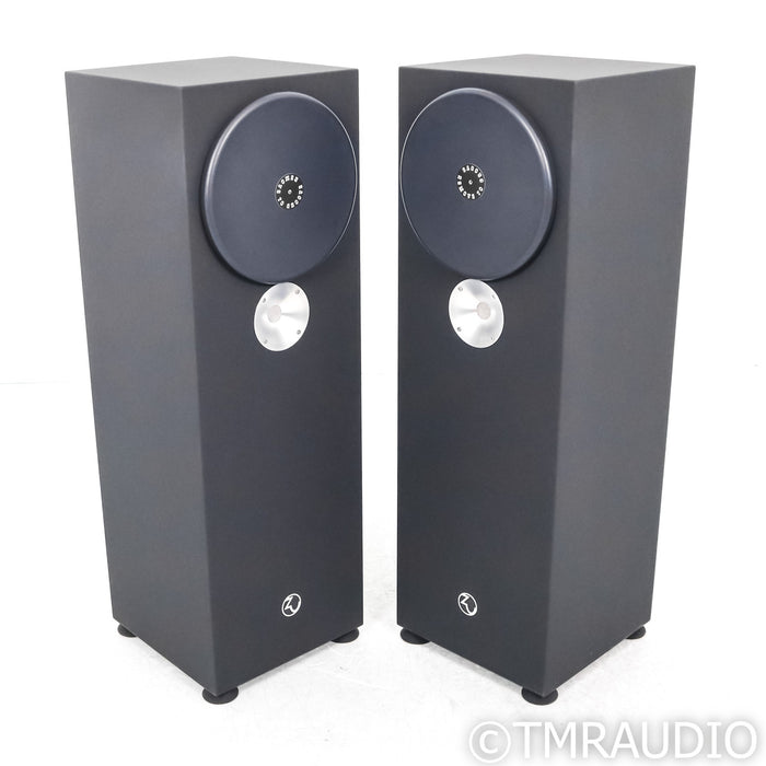 Zu DW 6 Superfly Floorstanding Speakers; Dirty Weekend; Black Starlight Pair