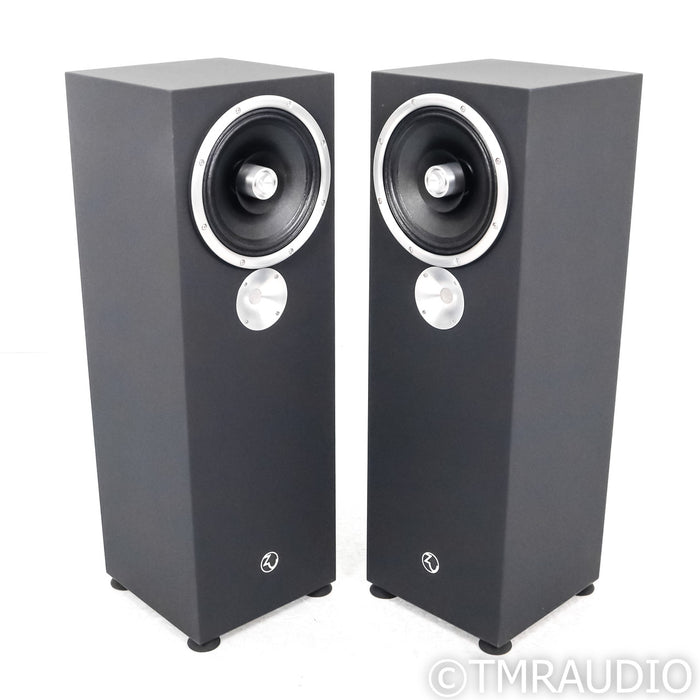 Zu DW 6 Superfly Floorstanding Speakers; Dirty Weekend; Black Starlight Pair