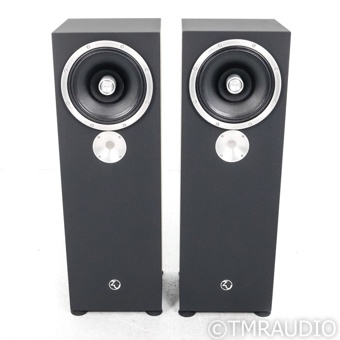 Zu DW 6 Superfly Floorstanding Speakers; Dirty Weekend; Black Starlight Pair