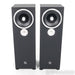 Zu DW 6 Superfly Floorstanding Speakers; Dirty Weekend; Black Starlight Pair