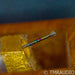 Benz Micro Wood SH MC Phono Cartridge; Moving Coil