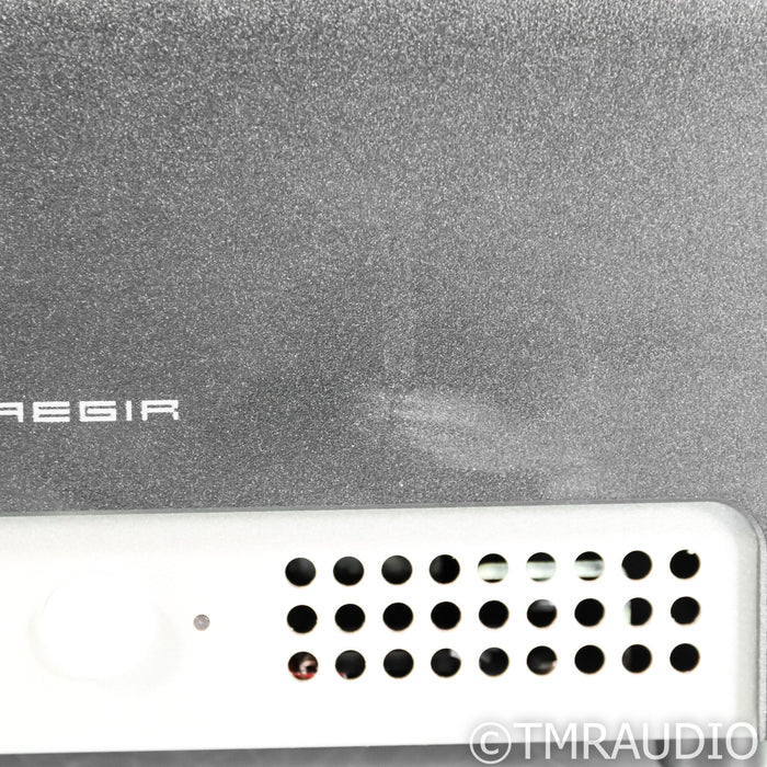 Schiit Audio Aegir Stereo Power Amplifier
