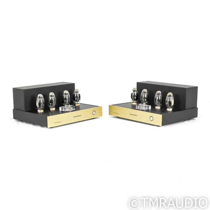 Conrad Johnson ART300 Mono Tube Power Amplifiers; Pair