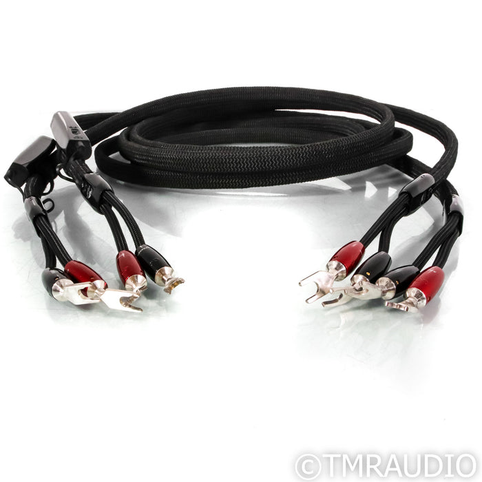 AudioQuest Robin Hood Silver Speaker Cables; 10ft Pair
