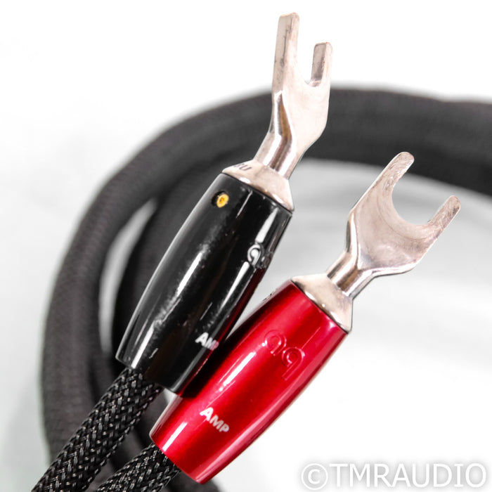 AudioQuest Robin Hood Silver Speaker Cables; 10ft Pair