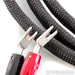 AudioQuest Robin Hood Silver Speaker Cables; 10ft Pair