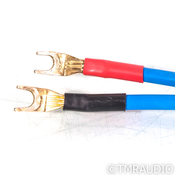 Siltech Signature Series G6 Eskay Creek Speaker Cables; 1.25m Pair