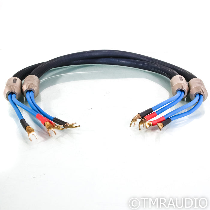 Siltech Signature Series G6 Eskay Creek Speaker Cables; 1.25m Pair