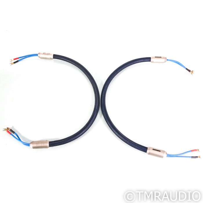 Siltech Signature Series G6 Eskay Creek Speaker Cables; 1.25m Pair
