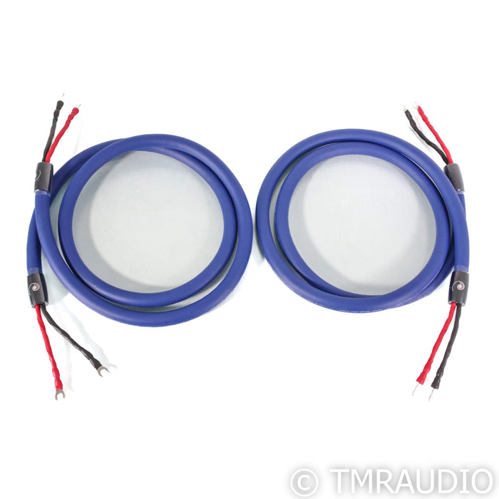 Cardas Audio Clear Beyond Speaker Cable; 2.5m Pair