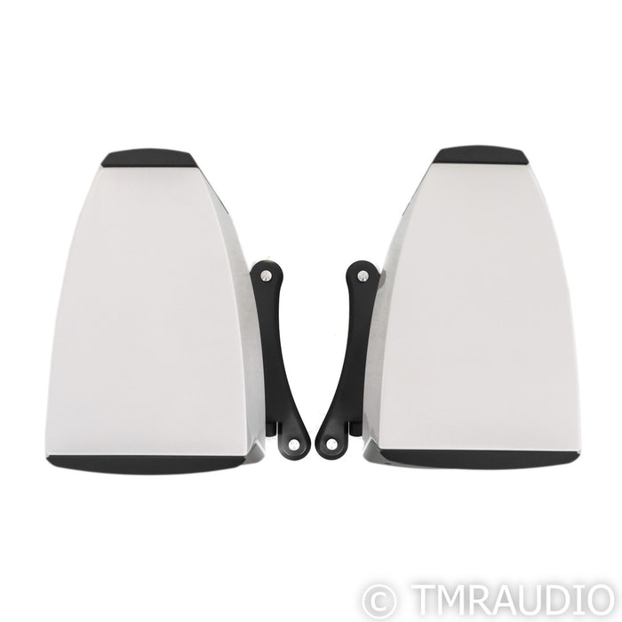 Raidho Acoustics C1.1 Bookshelf Speakers; Pair with Stands