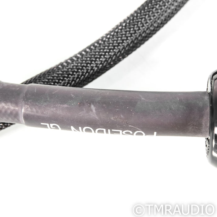 Silnote Audio Poseidon GL Power Cable; 1m AC Cord