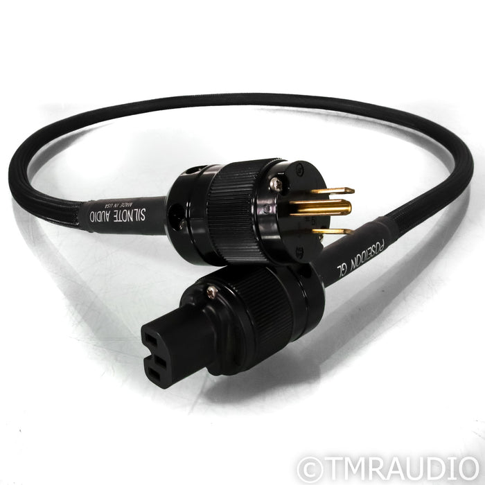 Silnote Audio Poseidon GL Power Cable; 1.25m AC Cord