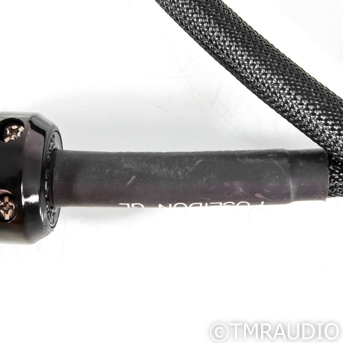 Silnote Audio Poseidon GL Power Cable; 1.25m AC Cord