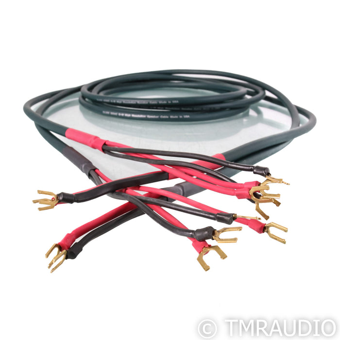 DH Labs Silver Sonic Q-10 Speaker Cables; 3m Pair