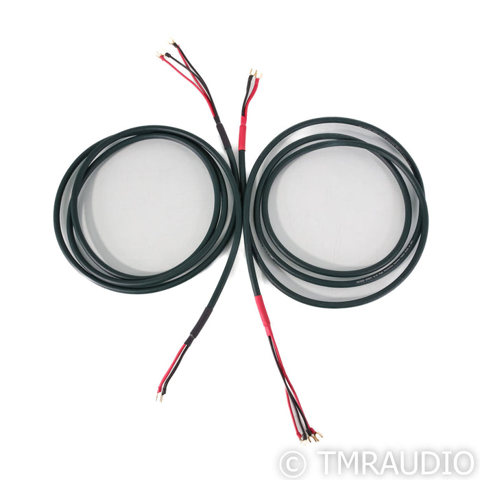 DH Labs Silver Sonic Q-10 Speaker Cables; 3m Pair
