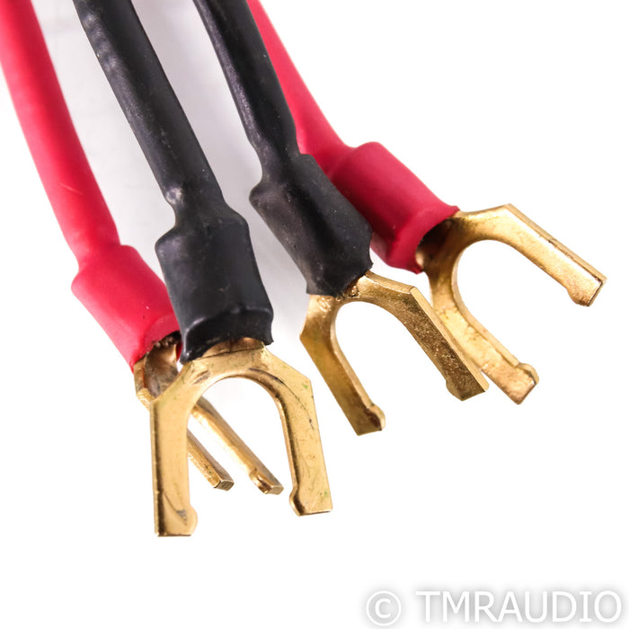 DH Labs Silver Sonic Q-10 Speaker Cables; 3m Pair