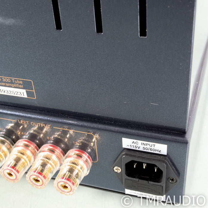 PrimaLuna Evo 300 Stereo & Mono Tube Power Amplifier