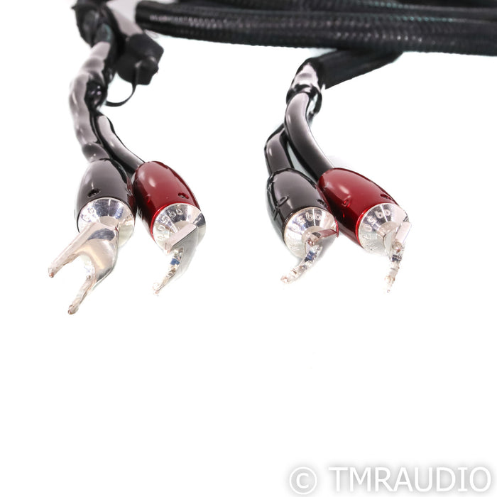 AudioQuest Rocket 88 Speaker Cables; 8ft Pair