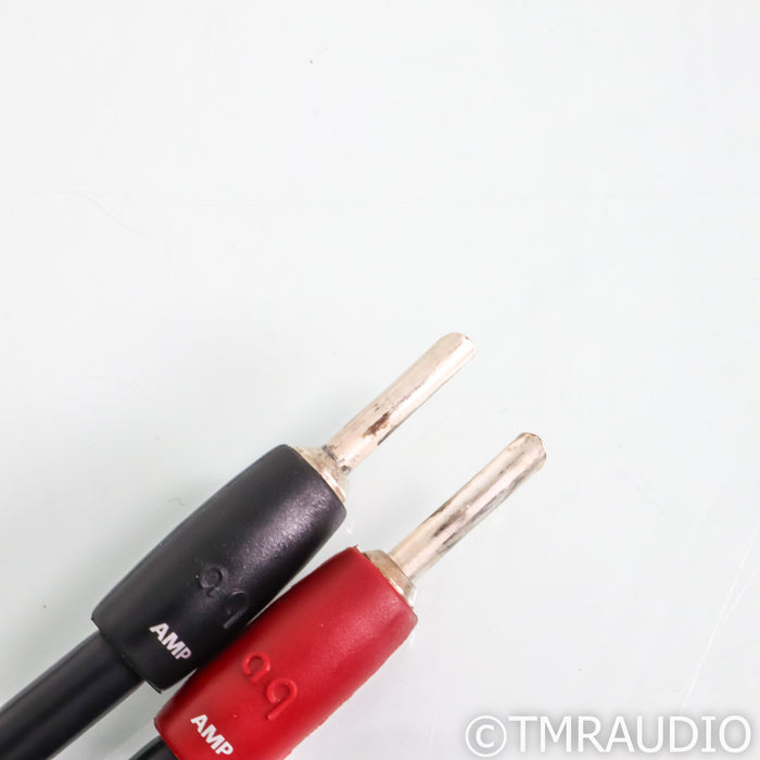 AudioQuest CV-8 Hyperlitz Speaker Cables; 2.4m Pair