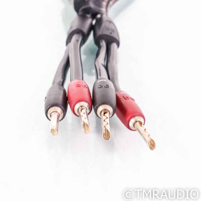 AudioQuest CV-8 Hyperlitz Speaker Cables; 2.4m Pair