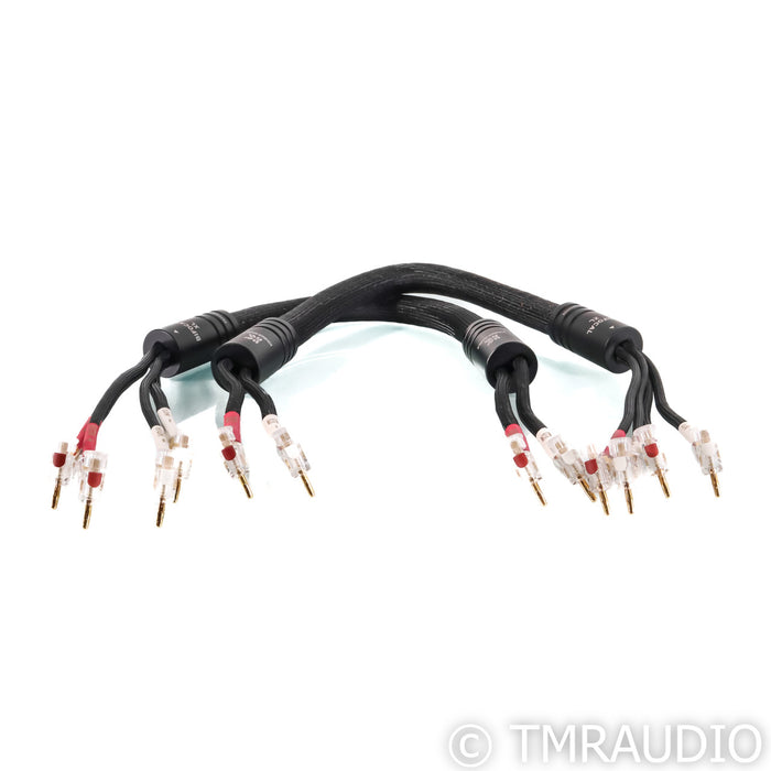 Kimber Kable Bifocal XL Speaker Cables; 1m Pair