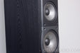 Infinity Composition Overture 2 Speakers