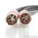 Cardas Audio Clear Reflection XLR Balanced Interconnects; 0.5m Pair