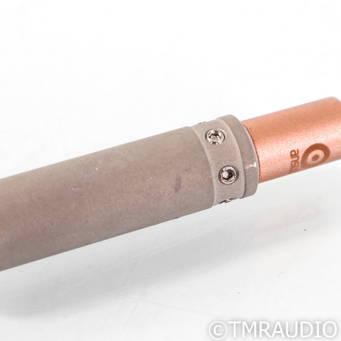 Ansuz Sortz Signature RCA Noise Reduction Plug