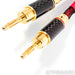 WyWires Diamond Series Speaker Cables; 2m Pair