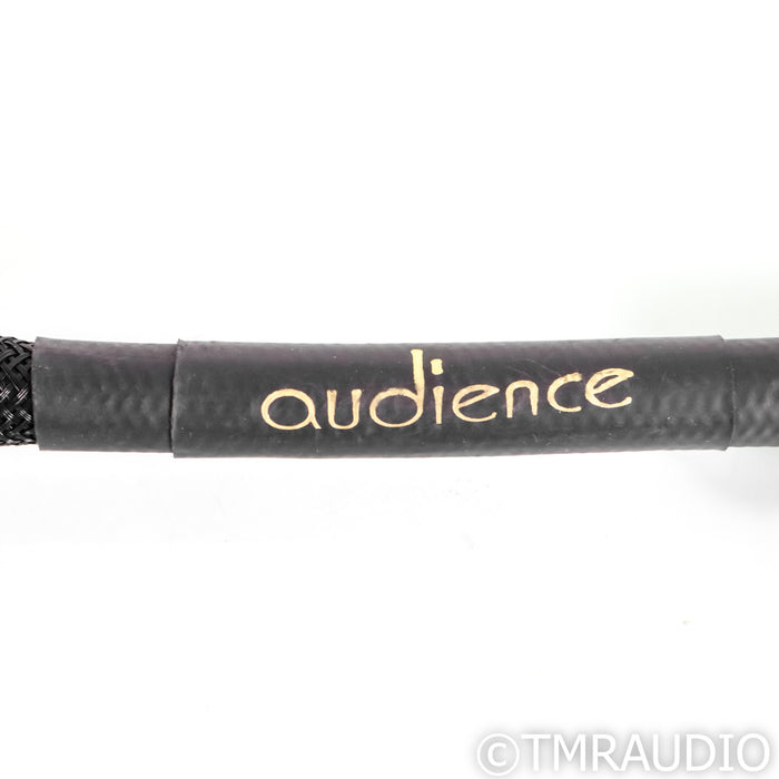 Audience powerChord Power Cable; 2m AC Cord