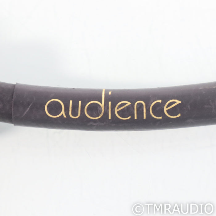 Audience powerChord Power Cable; 1m AC Cord