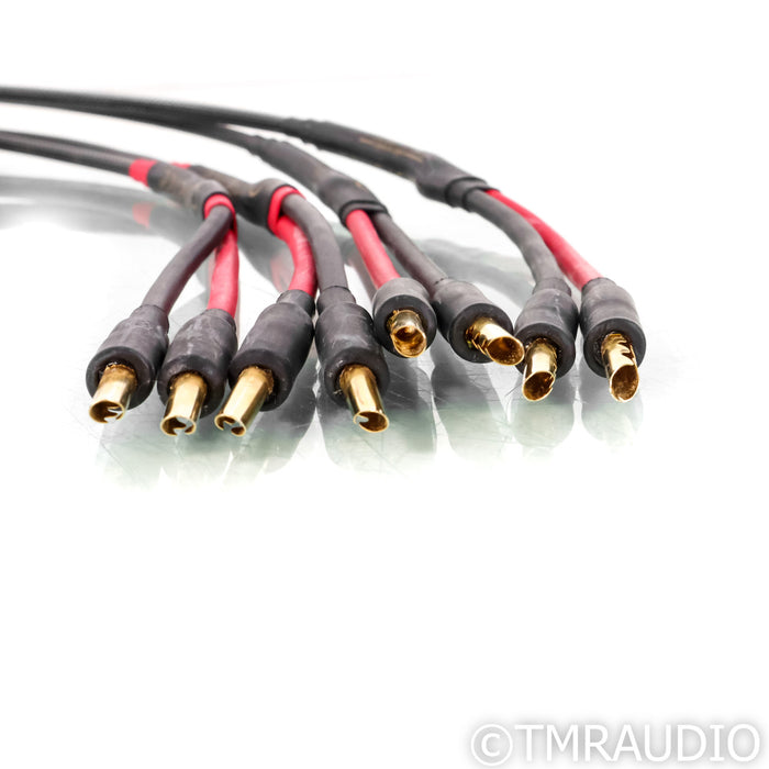 Audience Au24 SE Bi-Wire Speaker Cables; 3m Pair