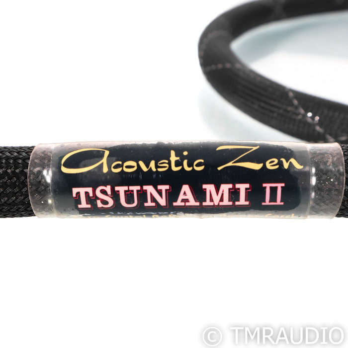 Acoustic Zen Tsunami II Power Cable; 6ft AC Cord