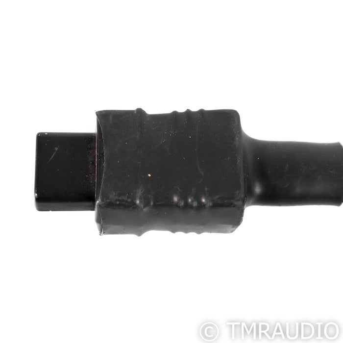Acoustic Zen Tsunami II Power Cable; 6ft AC Cord
