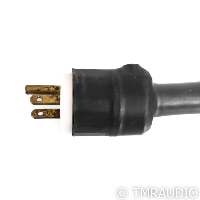 Acoustic Zen Tsunami II Power Cable; 6ft AC Cord