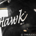 Talon Hawk Bookshelf Speakers; Black Pair