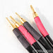 Tara Labs RSC Prime 1800 Bi-Wire Speaker Cable; 0.9m Single